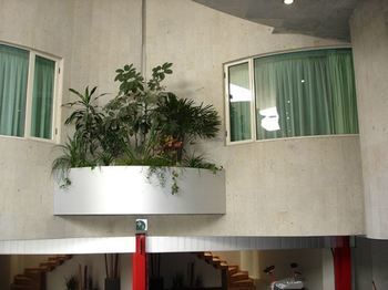 Scala Magna Città del Messico